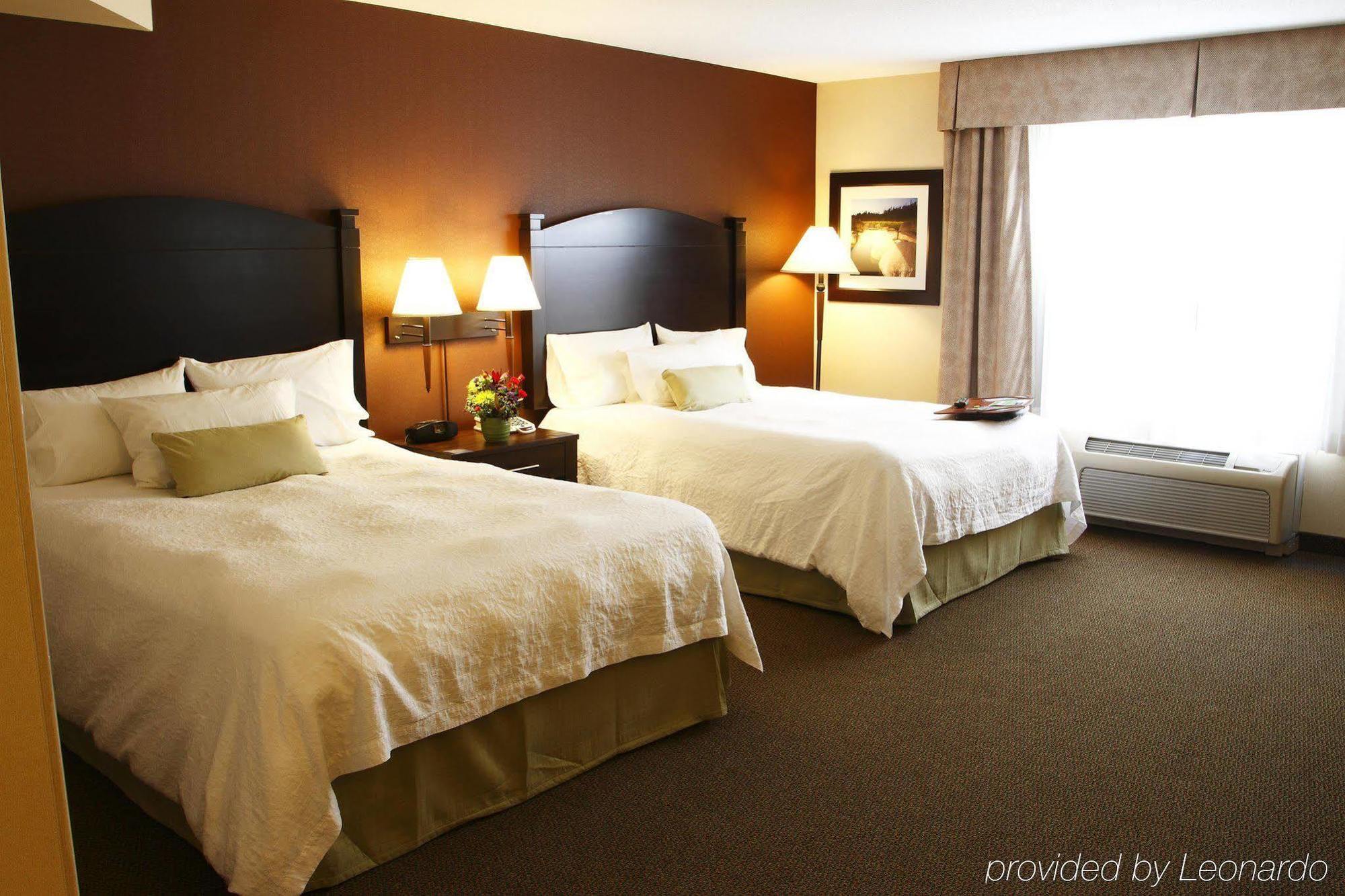 Hampton Inn & Suites By Hilton Монктон Номер фото